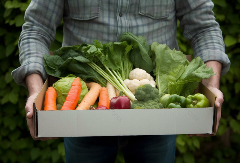 手拿新鲜蔬菜盒新鲜有机健康,高清,摄影图,摄影图片,图片大全,摄影图免费下载
